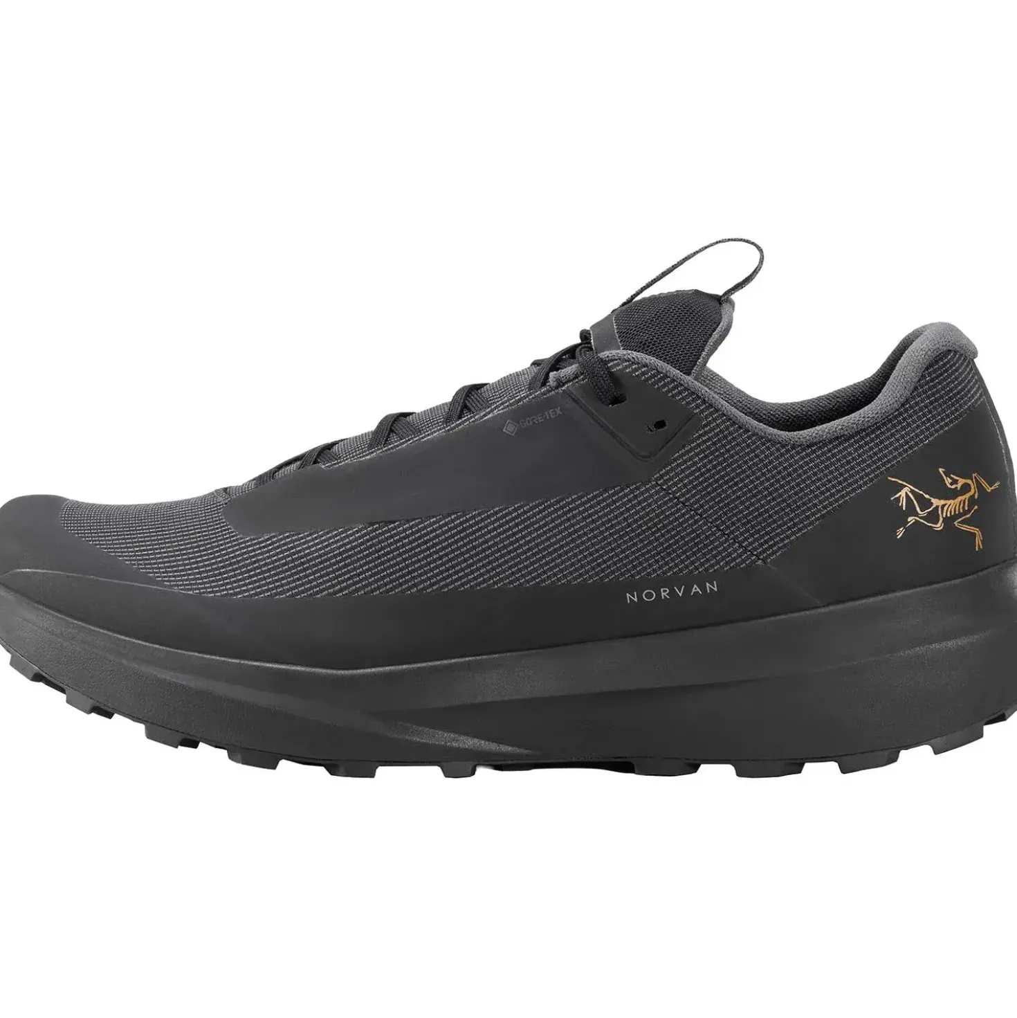 Arcteryx Mens Norvan LD 4 GTX