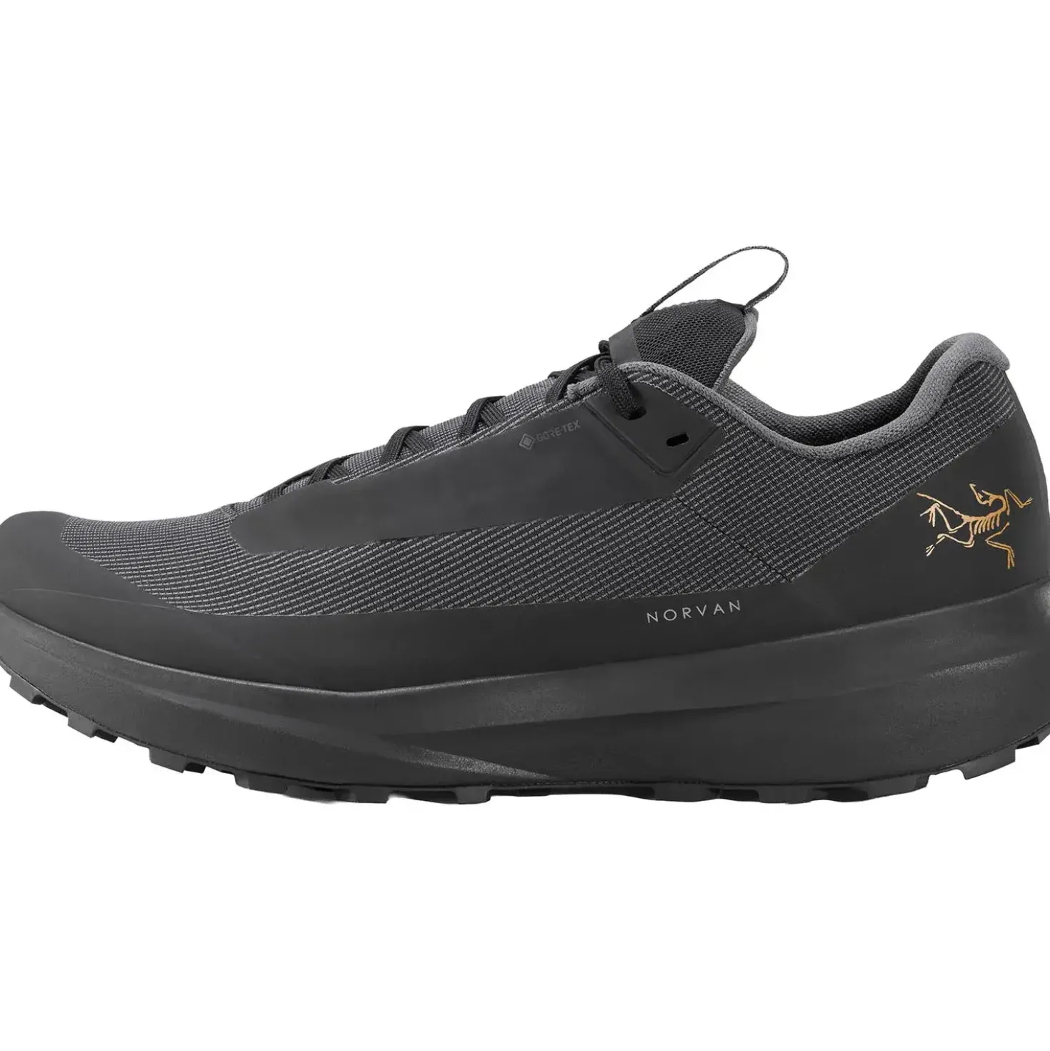 Arcteryx Womens Norvan LD 4 GTX