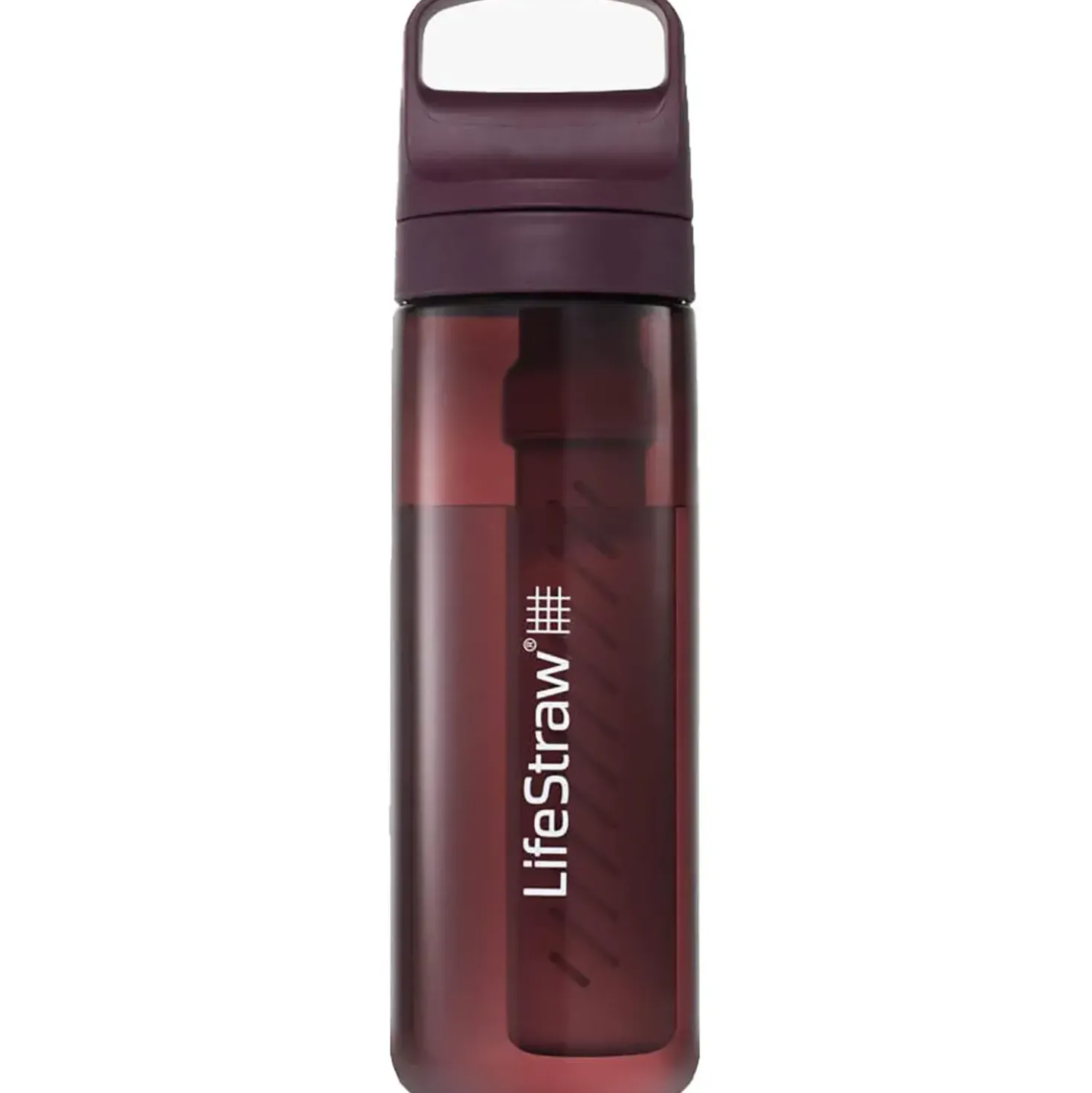 LifeStraw Go 2.0 Water Filter Bottle 22oz 650 Ml