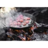 Petromax Fire Skillet Fp40 With One Pan Handle