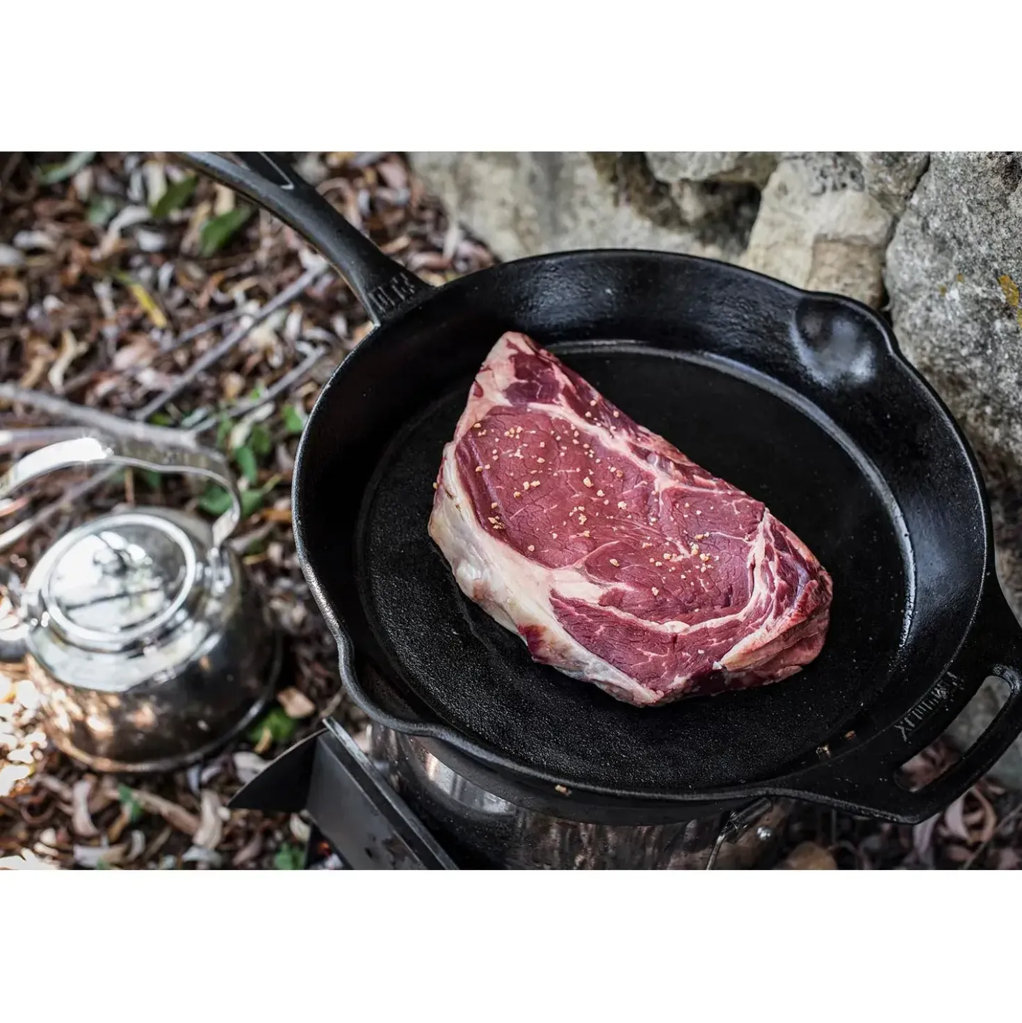 Petromax Fire Skillet Fp30 With One Pan Handle