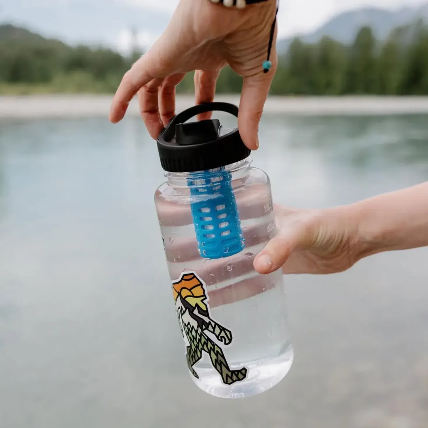 Platypus Daycap In-bottle Filter (widemouth)
