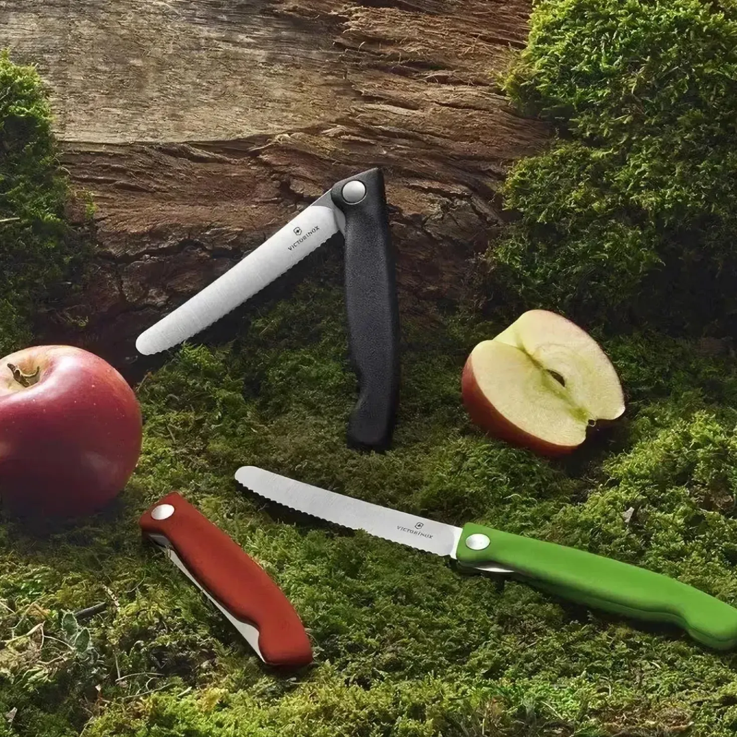 Victorinox Swiss Classic Foldable Picknic Knife